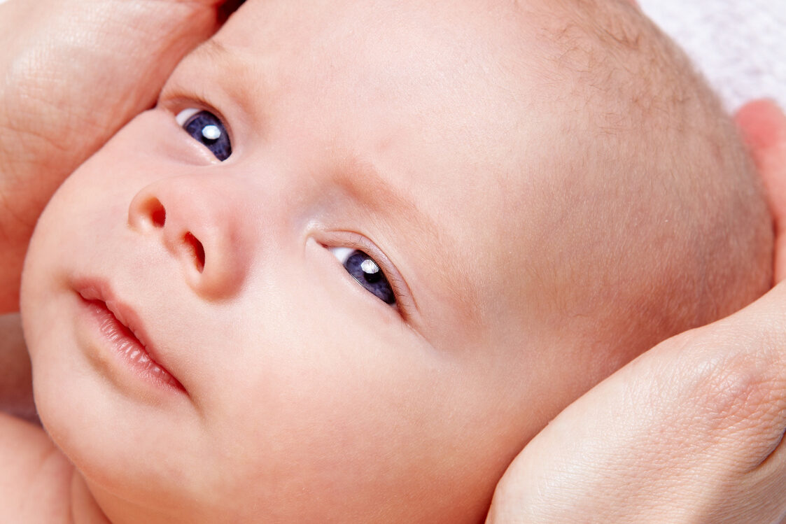 head of a newborn in hands of an osteopath